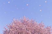 tkf001_807639