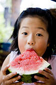 tkf001_807682