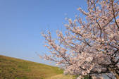 tkf001_807684