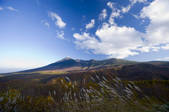 tkf001_807774