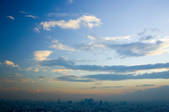 tkf001_807791