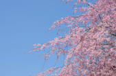 tkf001_808224