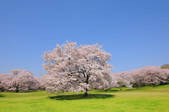 tkf001_808242