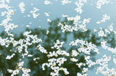 tkf001_808353