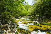 tkf001_808413