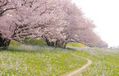 tkf001_808439