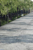 tkf001_808842