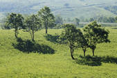 tkf001_808865