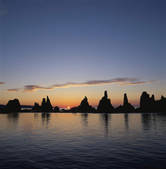 tkf001_809037