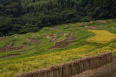 tkf001_809755