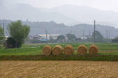 tkf001_809774