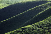 tkf001_810297