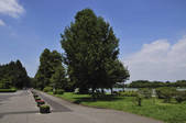 tkf001_811258