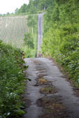 tkf001_811340