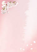 tkf001_812895