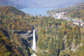 tkf001_813231