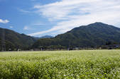 tkf001_813246