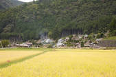 tkf001_813982