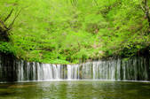 tkf001_814994