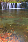 tkf001_815098