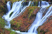 tkf001_815099