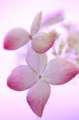 tkf001_816108