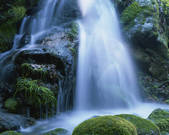 tkf001_816376
