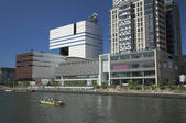 tkf001_816990