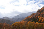 tkf001_817350