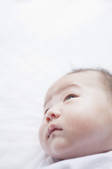 tkf001_818115