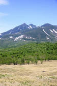 tkf001_818390