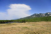 tkf001_818644