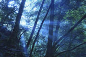 tkf001_818979