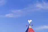 tkf001_819023
