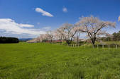 tkf001_820033