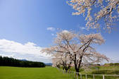 tkf001_820034