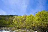 tkf001_820048