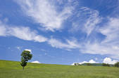 tkf001_820049