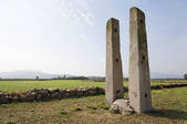 tkf001_822730