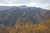 tkf001_824768