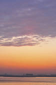 tkf001_825186