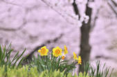 tkf001_825201