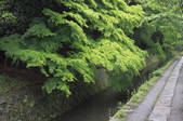tkf001_825877