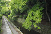 tkf001_825878
