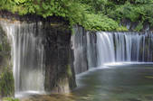 tkf001_826035