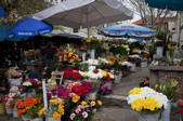 tkf001_826654