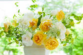 tkf001_827206
