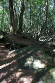 tkf001_828021