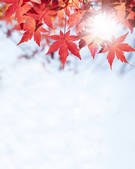 tkf001_828088