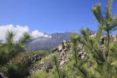 tkf001_828139